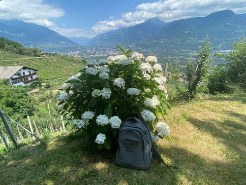 Italien - Südtirol, Marling Waalweg
